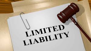 limited liability partnership in kerala